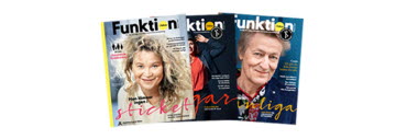 Tidningen, Funktion i fokus