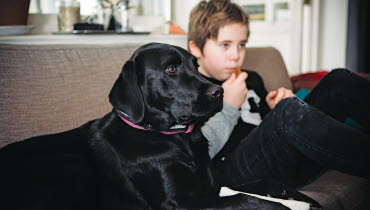 Douglas och Rocky sitter bredvid varandra i en soffa.