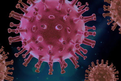 Virus