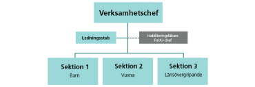 H&H organisationsskiss